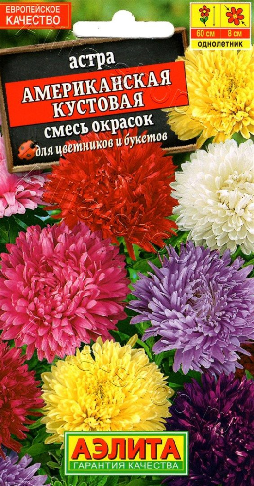 23e09f10ecac52708ef5dc4186ccca68