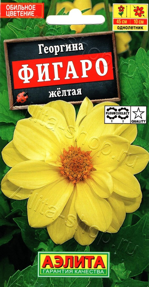 048ed442a33ffdaff37f9180e77d7bbb