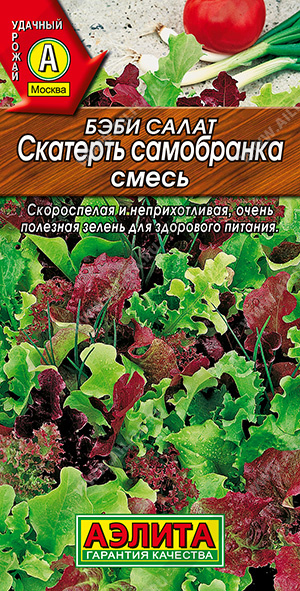 408a2a9c_1535_11e7_aaf5_e4115badda84_384733c9_3df9_11eb_80f5_0cc47adb9c64