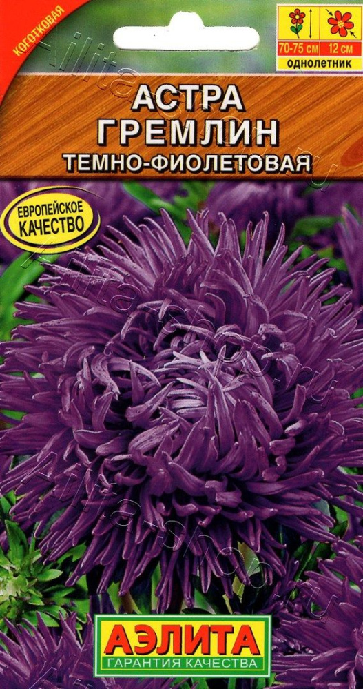 01d386a7d0e035868ca0db5930dbbaa3