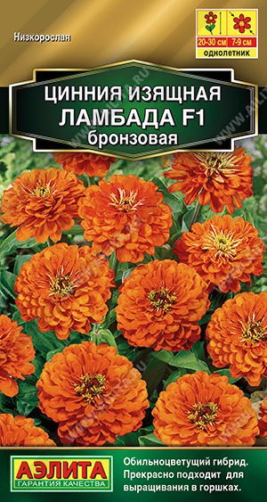cb41f8c9_5c87_11eb_80f5_0cc47adb9c64_ea496787_13ff_11ee_811e_0cc47adb9c64