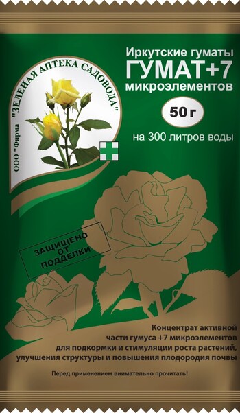 00000305