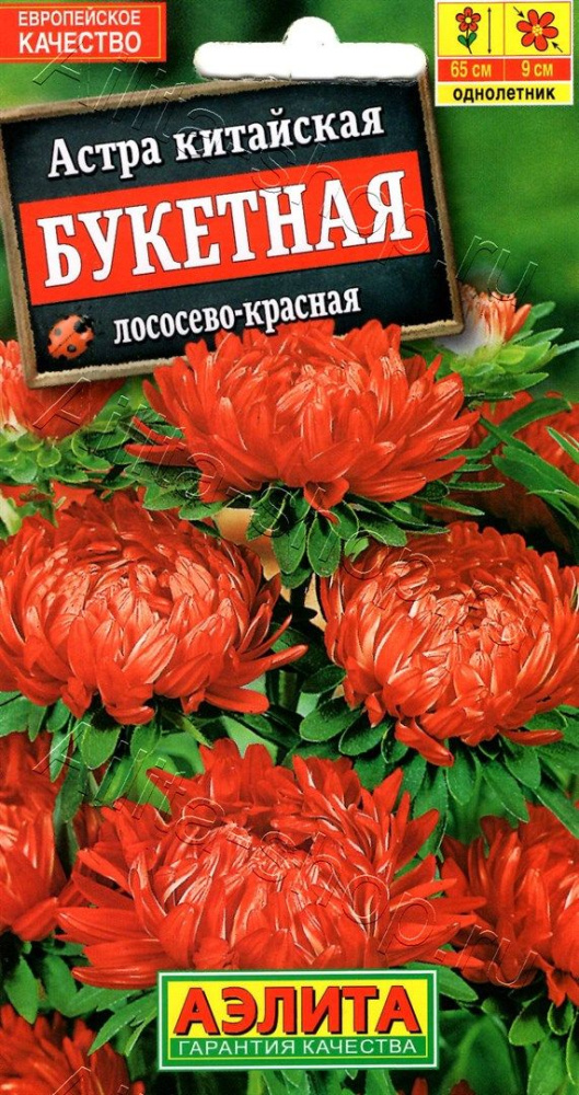 56f6e4aaf9ae77459e0d418c501e9576