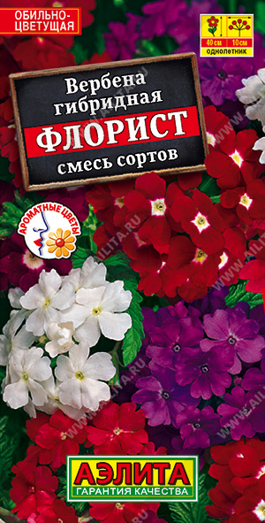 dd9c21a6_e7e9_11ec_810b_0cc47adb9c64_f8e12b92_91e4_11ef_812d_0cc47adb9c64