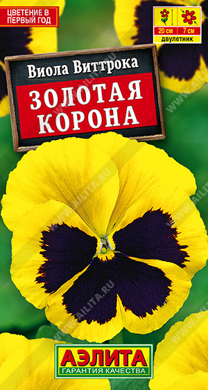 9acaa9e6_9040_11ef_812d_0cc47adb9c64_2510c352_7c0b_11f0_8148_0cc47adb9c64