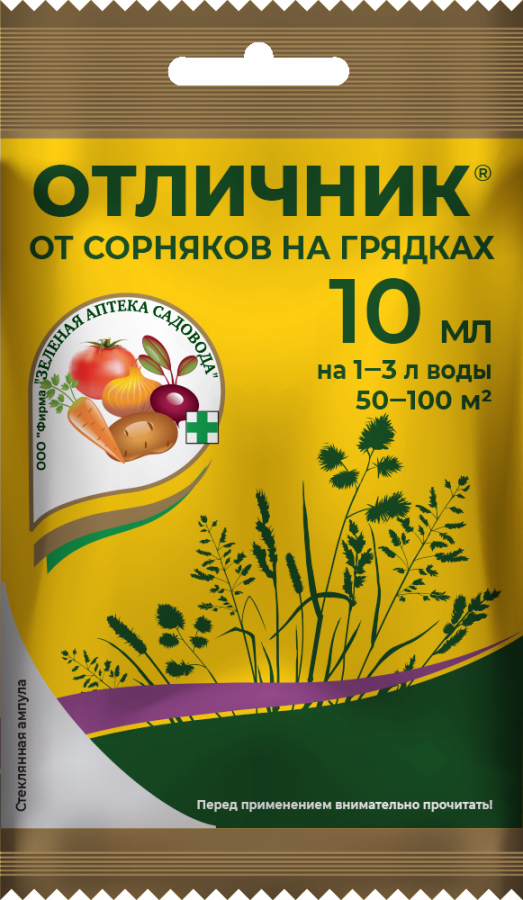 Otlichnik_10_paket-2025-new