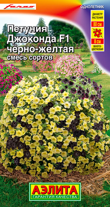 tq8hopc1wzot5zo4zeggvijchbh5sn87