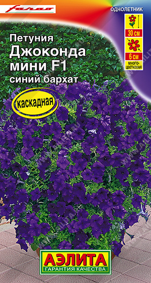 15953a70_cec6_11ed_811c_0cc47adb9c64_4c3777c7_2cad_11ef_8129_0cc47adb9c64