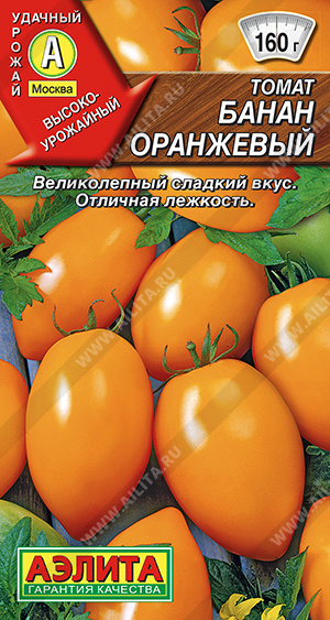 99f29c9e_9f51_11ea_80eb_0cc47adb9c64_d4d2b904_b511_11ee_8120_0cc47adb9c64