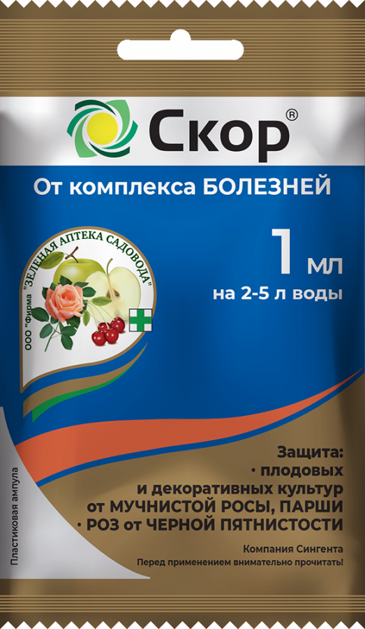 Skor_1_paket-2025-new