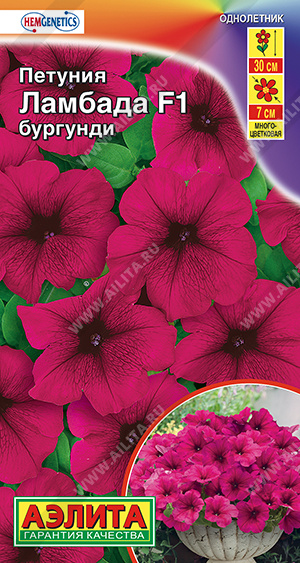 b0253bf9_2f10_11e9_80d8_0cc47adb9c64_4f471e77_cfeb_11ee_8121_0cc47adb9c64