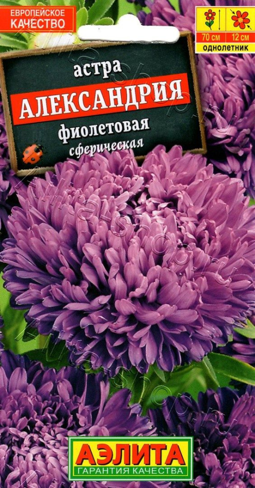 e6808a1e4e0f20b0dbeba4fabb1bc2f5